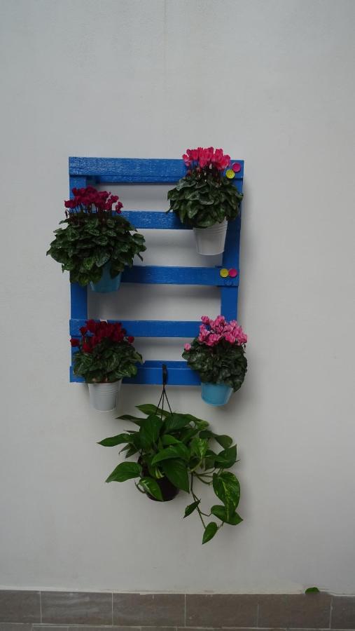 Il Giardino Segreto Apartamento Palermo Exterior foto